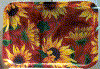 PlateauTournesol.gif (65218 octets)
