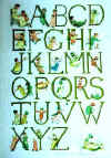 amj4g.jpg (22310 octets)