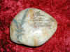 mimycail18.jpg (77370 octets)