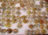 mimycail67.jpg (62437 octets)